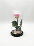 Forever Rose Glass Dome