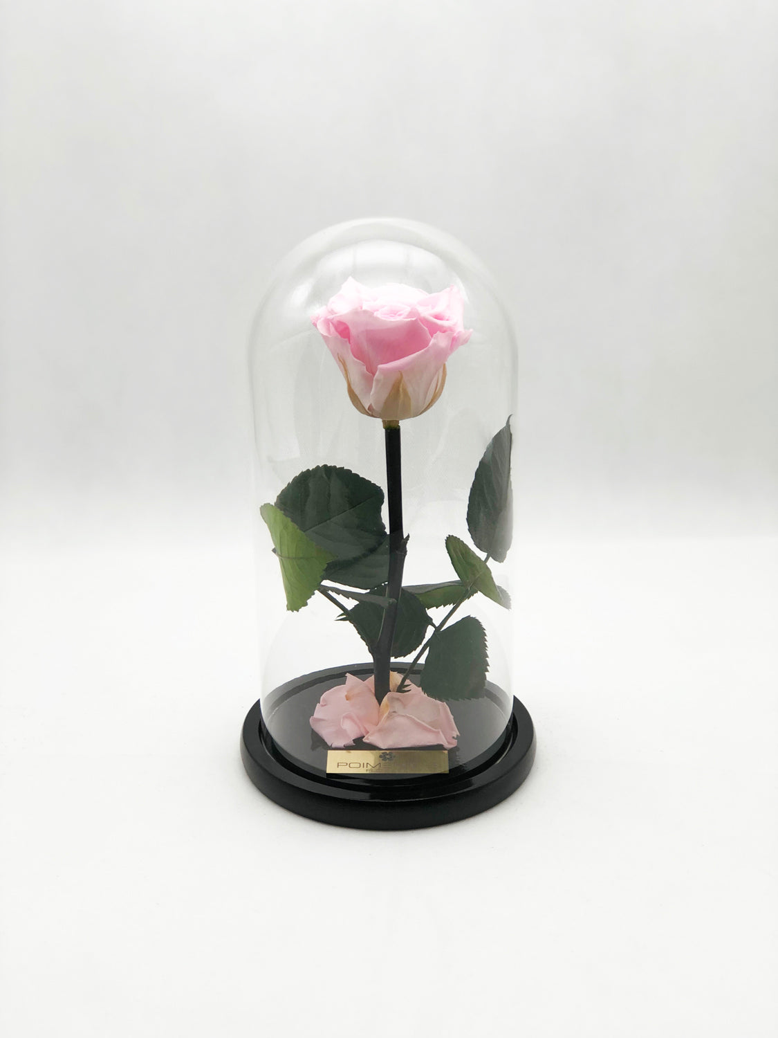Forever Rose Glass Dome
