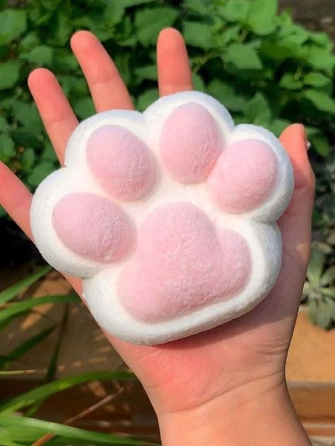 Cat Paw Fidget Toy
